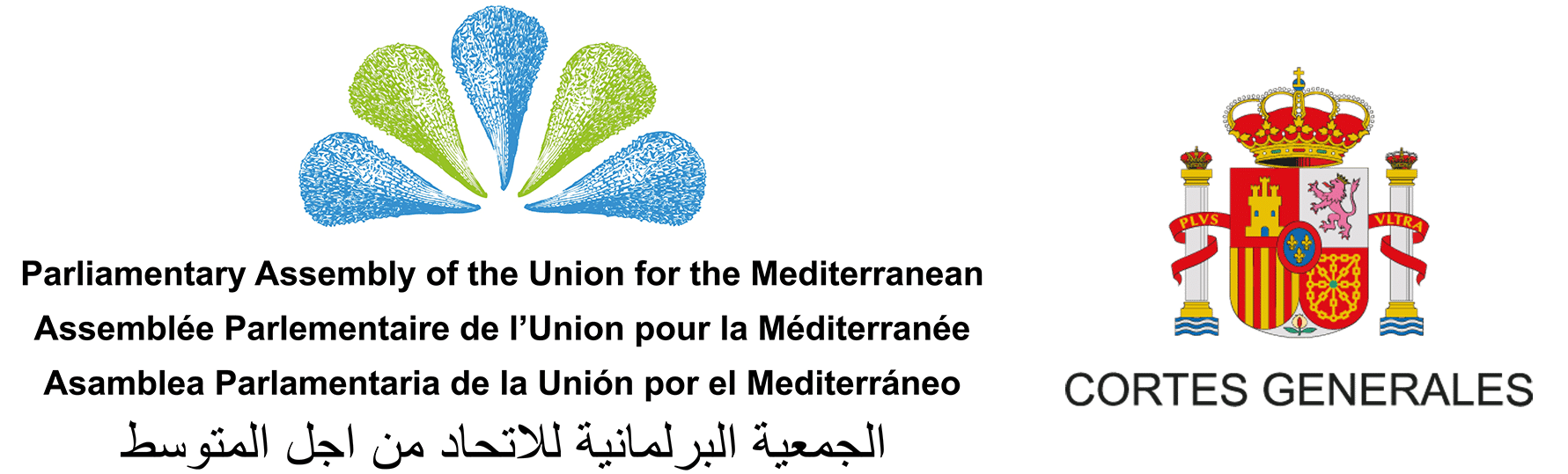 PRESIDENCIA ESPAÑOLA DE LA ASAMBLEA PARLAMENTARIA DE LA UNIÓN POR EL MEDITERRÁNEO 2024-2025